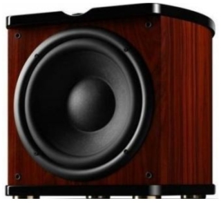 SWANS Sub 10D Palisander Aktiv-Subwoofer | Neu | UVP 834 €