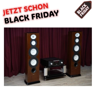 High-End Audio Bundle: Revel Performa F228Be Standlautsprecher & Mark Levinson No. 5805 Verstärker