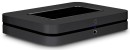 Bluesound Node N132 - Performance Music Streamer, Schwarz...